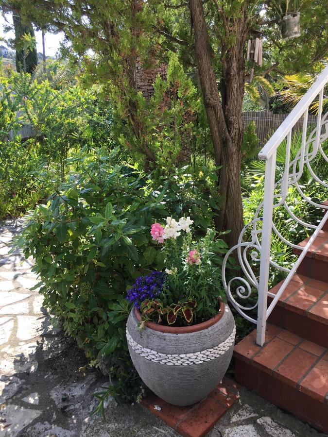 Sanssoucis Apartment *